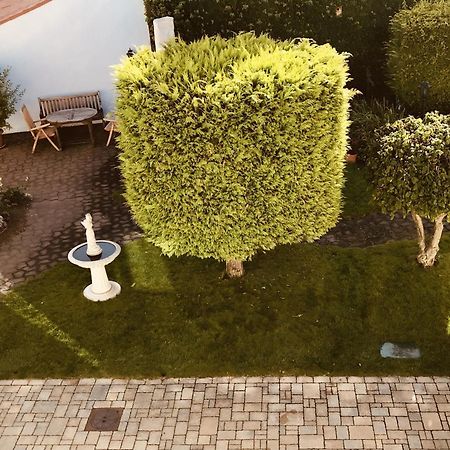 Casa Rehse I Stilvolles Apartment I 24H-Self-Check-In I Kostenlos Parken & Wlan I 55-Zoll-Smart&Kabel-Tv I Oepnv Erfurt Esterno foto